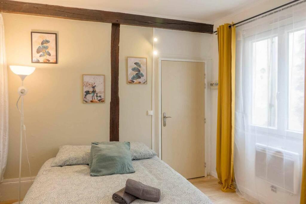 Studio Rue Pietonne Ορλεάνη Εξωτερικό φωτογραφία